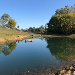 Meet your Posher, Colton